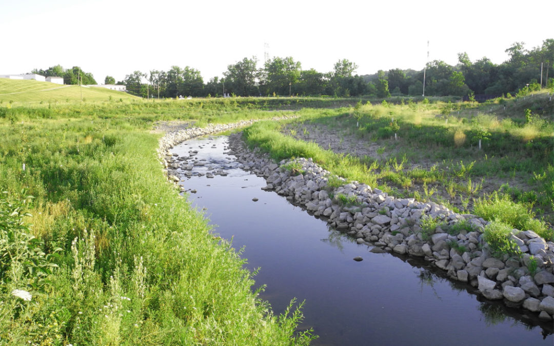 The West Creek Confluence