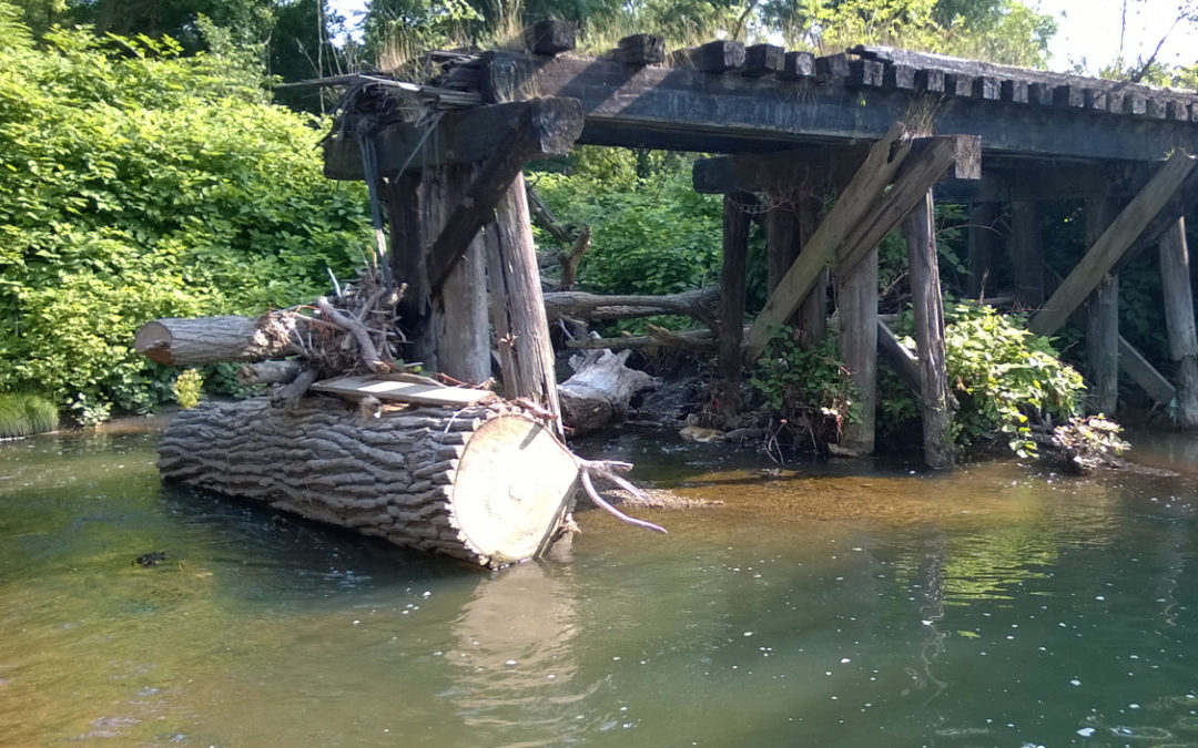 Mill Creek Watershed Partnership