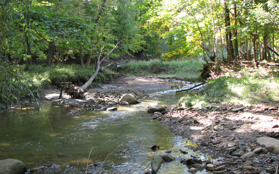 Snake Hills Conservation Area