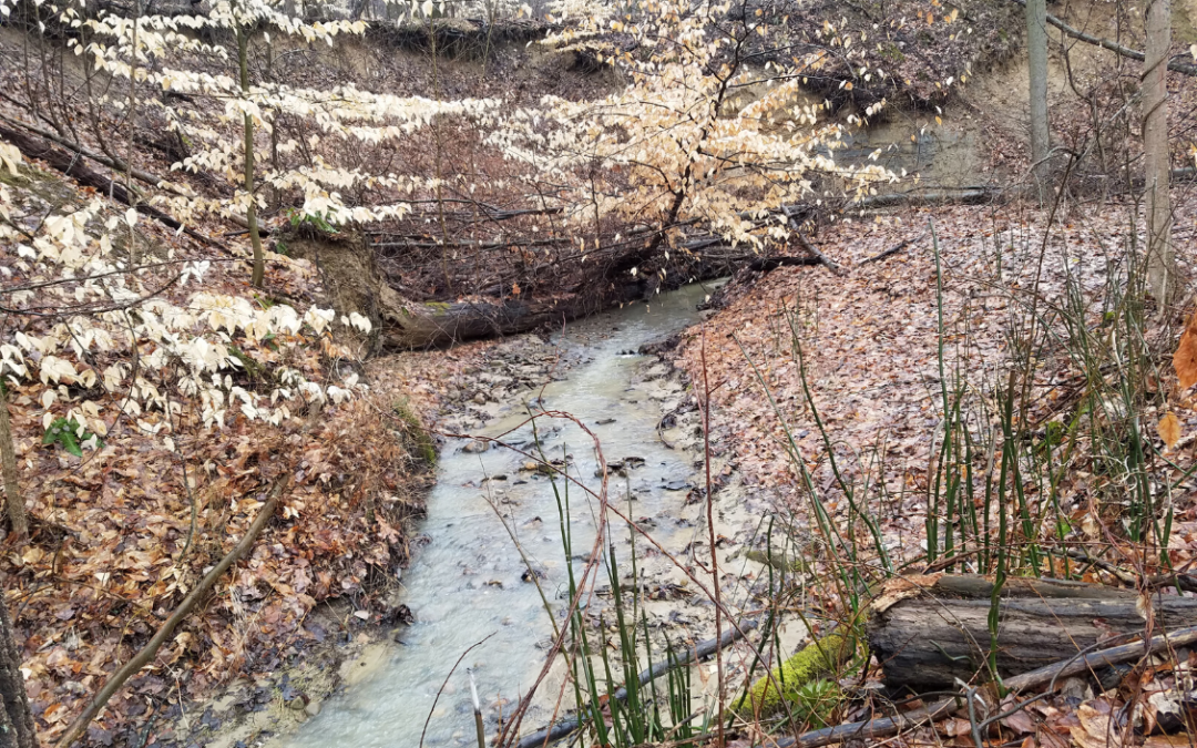 Conservation in the Merriman Valley