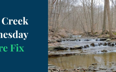 Announcing West Creek Wednesday: Nature Fix