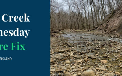 West Creek Wednesday Nature Fix at Snake Hill Parkland