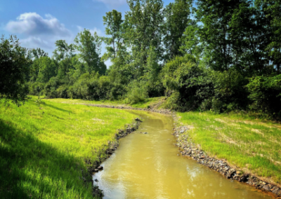Talcott Creek Restoration