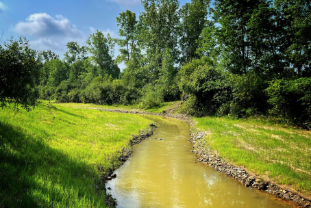 Talcott Creek Restoration