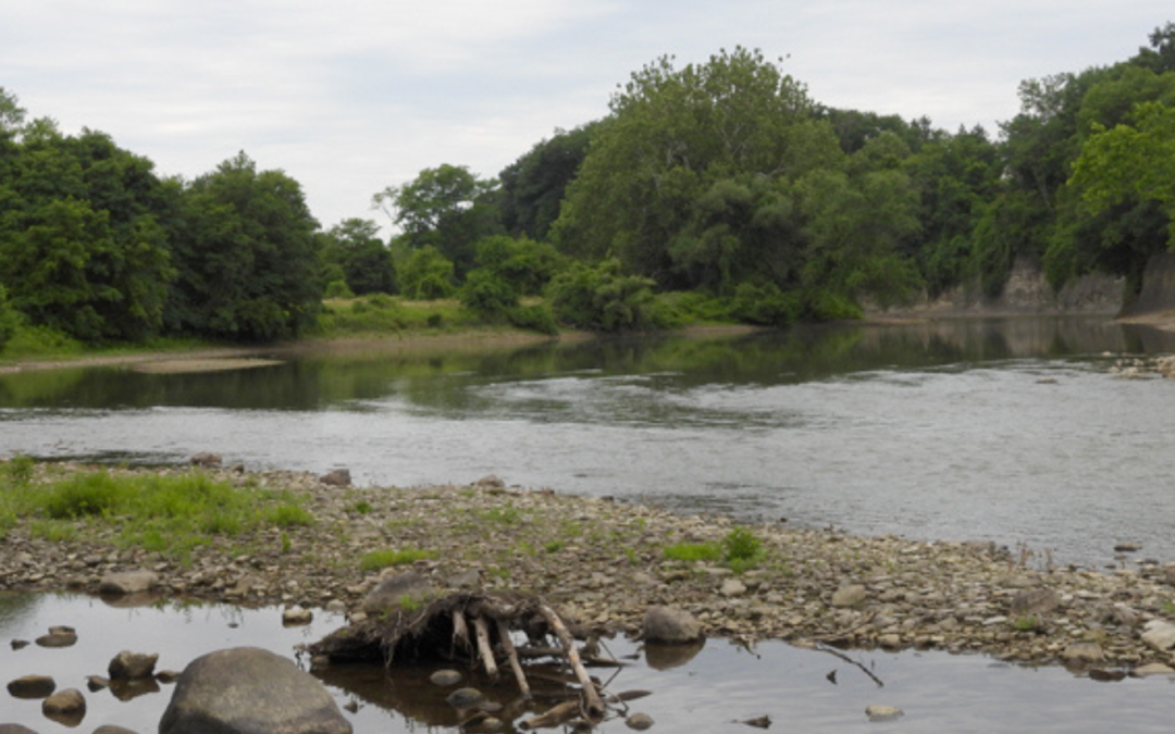 Casement Springs Preserve