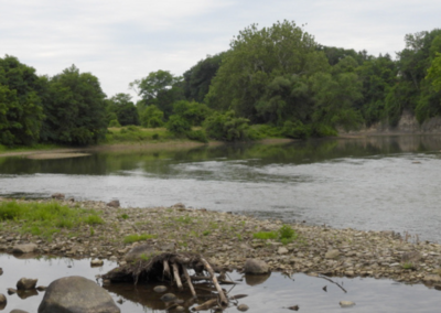 Casement Springs Preserve