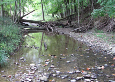 Chippewa Creek Headwaters