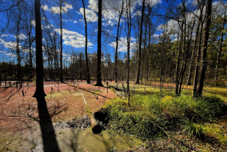Padua Soccer Fields Restoration