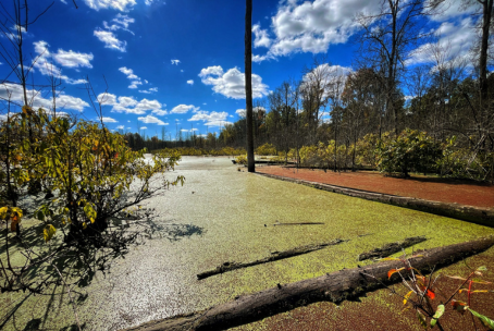 Padua Soccer Fields Restoration