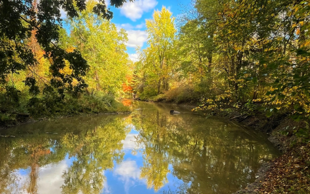 Fox Riparian Protection Project