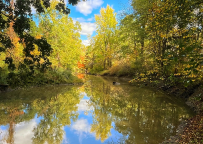 Fox Riparian Protection Project