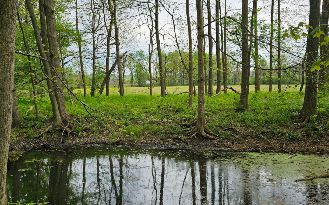 Oxbow Wetlands Preserve