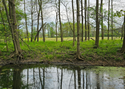 Oxbow Wetlands Preserve