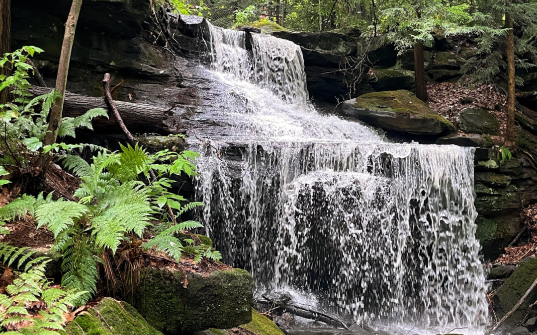 Thompson Ledges North