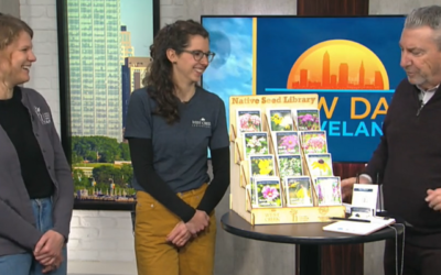 The Native Seed Library Featured on Fox 8 News