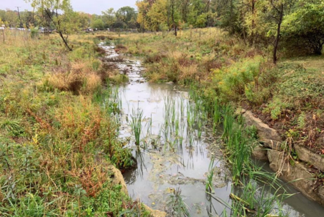 Padua Soccer Fields Restoration