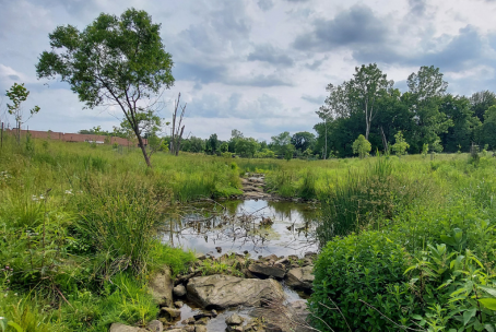 Padua Soccer Fields Restoration