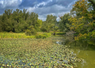 Clear Fork Conservation Area