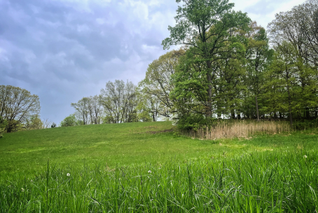 Padua Soccer Fields Restoration