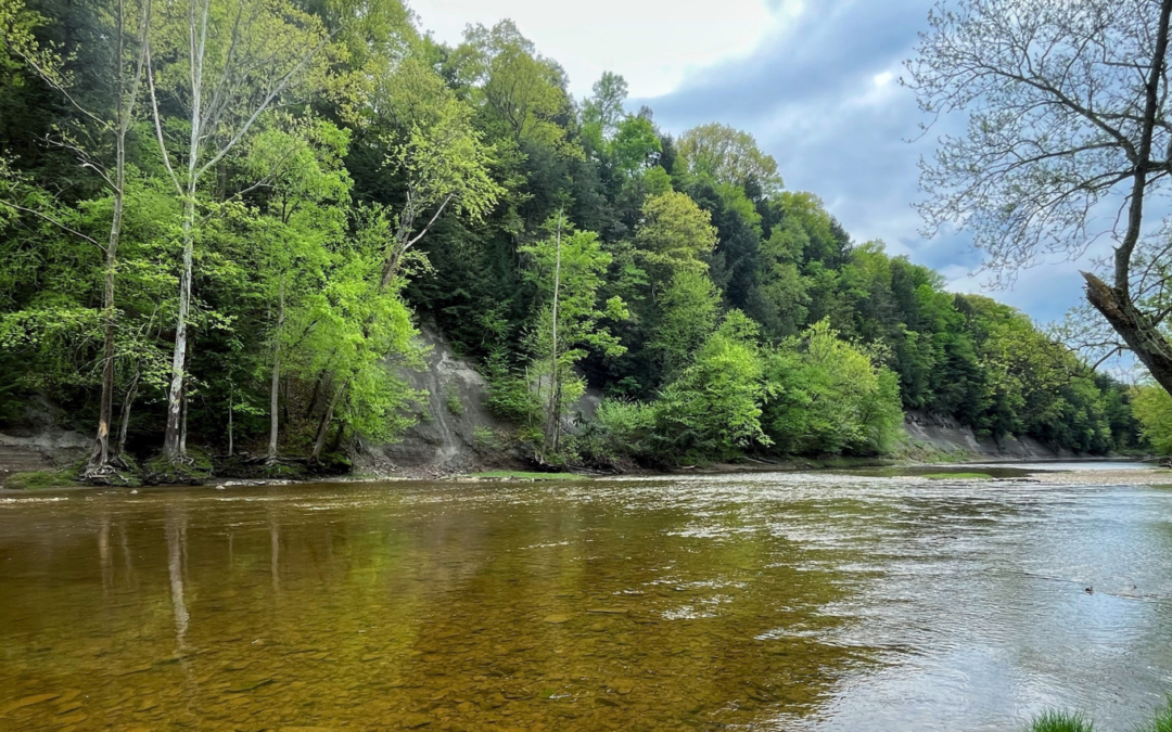 Grand River Gorge Corridor Preservation Project