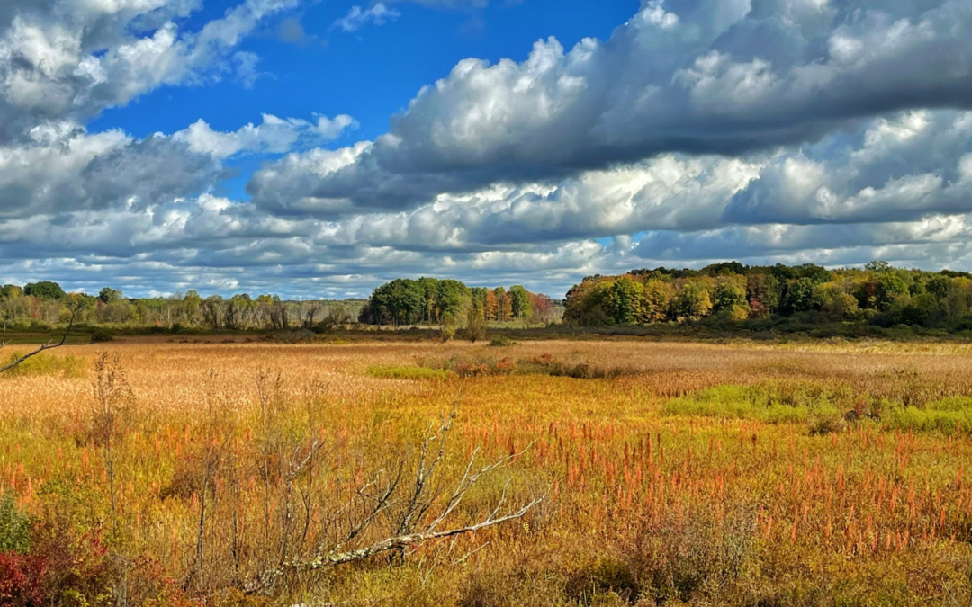 Upper Cuyahoga Headwaters Preserve