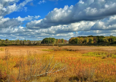 Upper Cuyahoga Headwaters Preserve