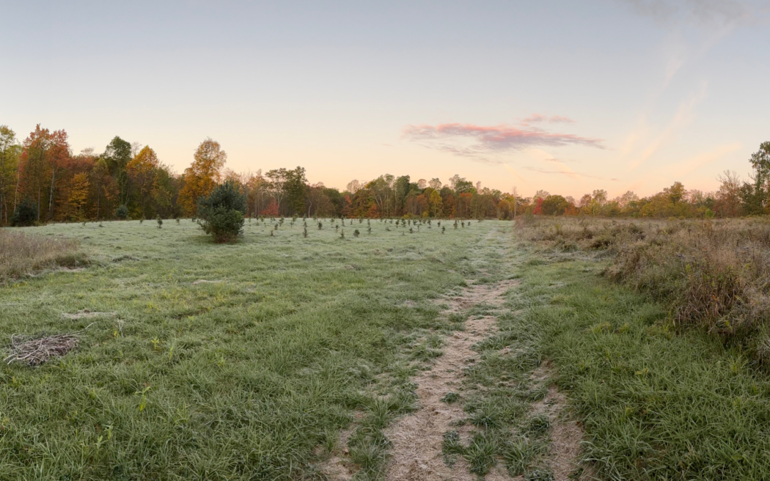 Slipper Run Conservation Area