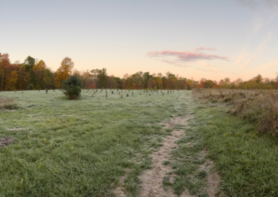 Slipper Run Conservation Area