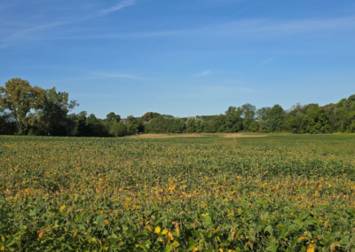 Clear Fork Preserve North