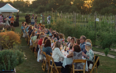 A Midsummer Gathering at Creekside Collaborative Partners