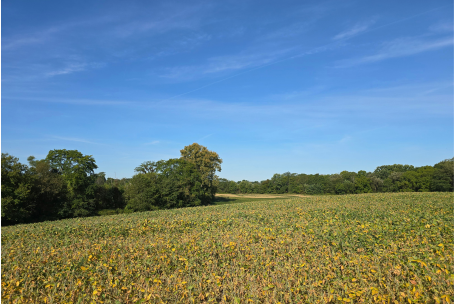 Padua Soccer Fields Restoration